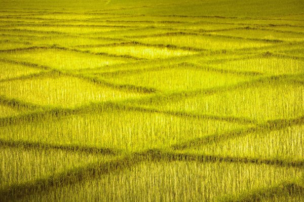 In che modo l'aggiornamento dei componenti elettronici può migliorare la reattività di un sistema di trazione integrale?